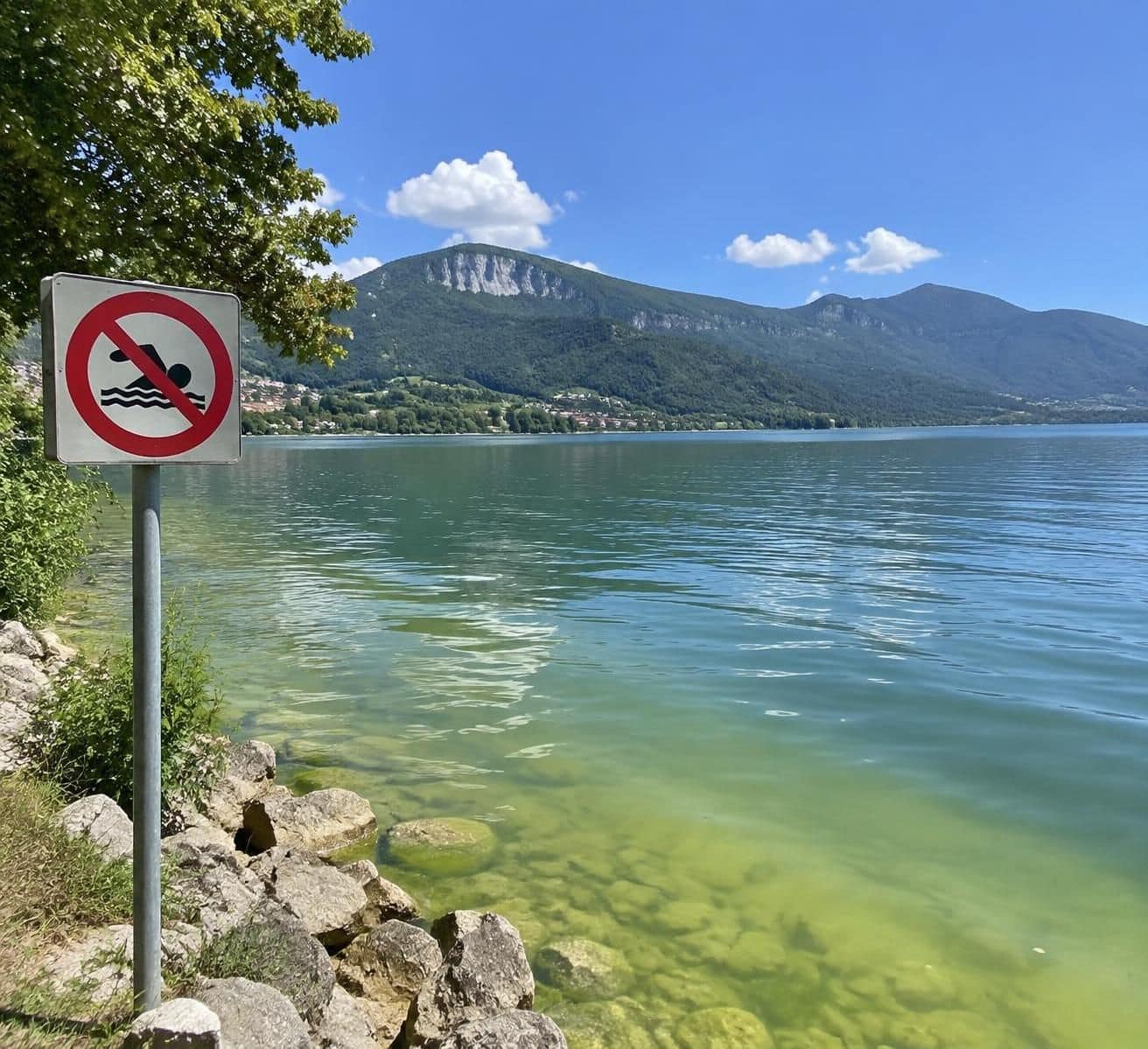 découvrez pourquoi certains lacs sont interdits à la baignade : risques sanitaires, courants dangereux, pollution et protection de la faune.